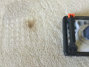 DooDoo Voodoo & Water Claw on dog poop stain on carpet