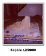 Sophie during the prime of her life in December of 2000